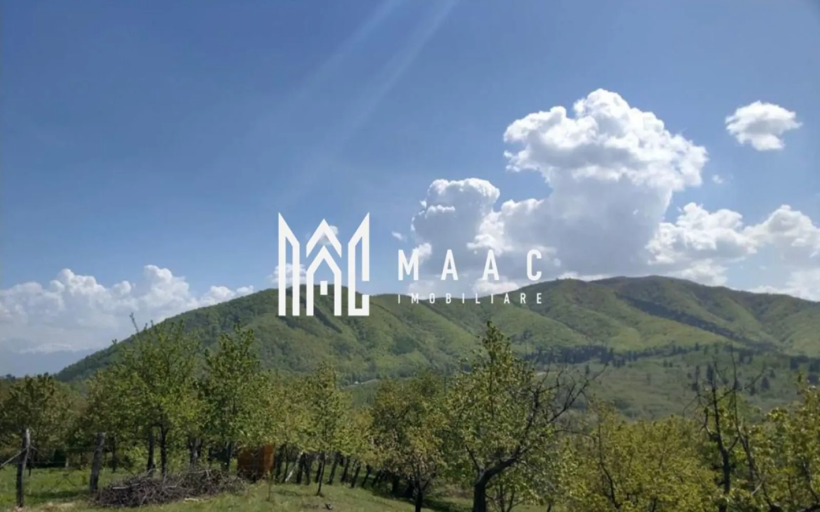 Teren intravilan I Cisnadioara I 1960 mp cu PUZ - MAAC IMOBILIRE VA PROPUNE SPREVANZARE UN TEREN INTRAVILAN O PARCELA DE 1960 MP IN LOCALITATEA CISNADIOARA - JUDETUL SIBIU

Terenul are acces de pe strada Ciresilor

Terenul are o suprafata 1960 mp ideal pentru construirea unei case rezidențiale sau unei case de vacanță, cu deschidere la drum de 29 ml / 72 ml lungime care se poate vinde integral sau si 2 parcele de 980 mp latime deschidere la drum 14,5 ml / 72 ml lungime cu PUZ aprobat.

Dacă sunteți în căutarea unui loc linistit de casă sau cabana, departe de aglomerație, Cisnădioara este alegerea cea mai potrivită. 

Drumul este pietruit latime 3 ml iar dupa cedarea drumului de 2.75 mp pe fiecare parte a drumului va avea 8,5 ml.

Caracteristici generale: 

Clasificare teren: Intravilan
Categorie de folosință: Livada
Intabulat: DA
Carte funciară: DA
Certificat de urbanism: DA
PUZ abrobat de Primaria Cisnadie pentru constructie casa : DA
Utilități: 
- Gaz la aprox 150 ml costul lucrarii undeva la 7500 euro.
- Curentul la 40 ml costul lucrarii 1000-2000 euro.
- Apă : 1500-3000 euro maxim exista proiect de introducere utilități in curs primavara-vara anul 2026 dar daca doriti mai repede singura solutie este fantana iar pentru canal fosa septica sau statie de epurare 5000 - 7000 euro cum au majoritatea locuitorilor in Cisnadioara.

Pentru mai multe detalii precizati ca ati vazut anuntul cu ID CP2911592