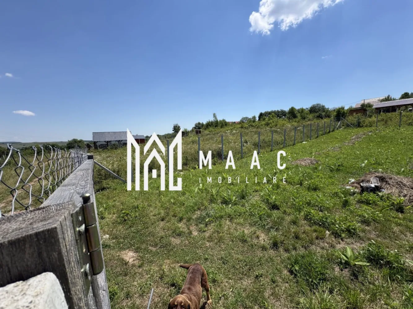 Teren intravilan 500 mp | Daia Nouă, Sibiu | acces facil, utilități în apropiere - Teren intravilan de 500 mp pentru construcții, situat în Daia Nouă, zona Exterior Est din Sibiu, într-un cadru liniștit, cu priveliște deschisă și acces facil.

Detalii proprietate:
• Suprafață teren: 500 mp
• Teren intravilan, categorie construcții
• Lot rezultat din parcelarea unui teren de 1.000 mp
• Există posibilitatea de achiziție separat sau împreună cu al doilea lot
• Utilități în apropiere: curent electric la aproximativ 200 m, apă și canalizare la aproximativ 300 m
• Acces facil la drum

Zona oferă un cadru aerisit, liniște și peisaj deschis, potrivite pentru dezvoltarea unei construcții într-o parte de est a Sibiului, cu acces ușor către împrejurimi.

Pentru detalii suplimentare și programarea unei vizionări, contactați echipa MAAC Imobiliare și menționați Cod anunț CP3189270.