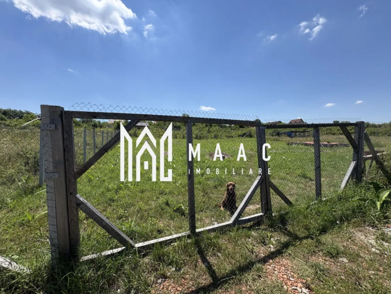 Teren intravilan 500 mp | Daia Nouă, Sibiu | acces facil, utilități în apropiere - Teren intravilan de 500 mp pentru construcții, situat în Daia Nouă, zona Exterior Est din Sibiu, într-un cadru liniștit, cu priveliște deschisă și acces facil.

Detalii proprietate:
• Suprafață teren: 500 mp
• Teren intravilan, categorie construcții
• Lot rezultat din parcelarea unui teren de 1.000 mp
• Există posibilitatea de achiziție separat sau împreună cu al doilea lot
• Utilități în apropiere: curent electric la aproximativ 200 m, apă și canalizare la aproximativ 300 m
• Acces facil la drum

Zona oferă un cadru aerisit, liniște și peisaj deschis, potrivite pentru dezvoltarea unei construcții într-o parte de est a Sibiului, cu acces ușor către împrejurimi.

Pentru detalii suplimentare și programarea unei vizionări, contactați echipa MAAC Imobiliare și menționați Cod anunț CP3189270.