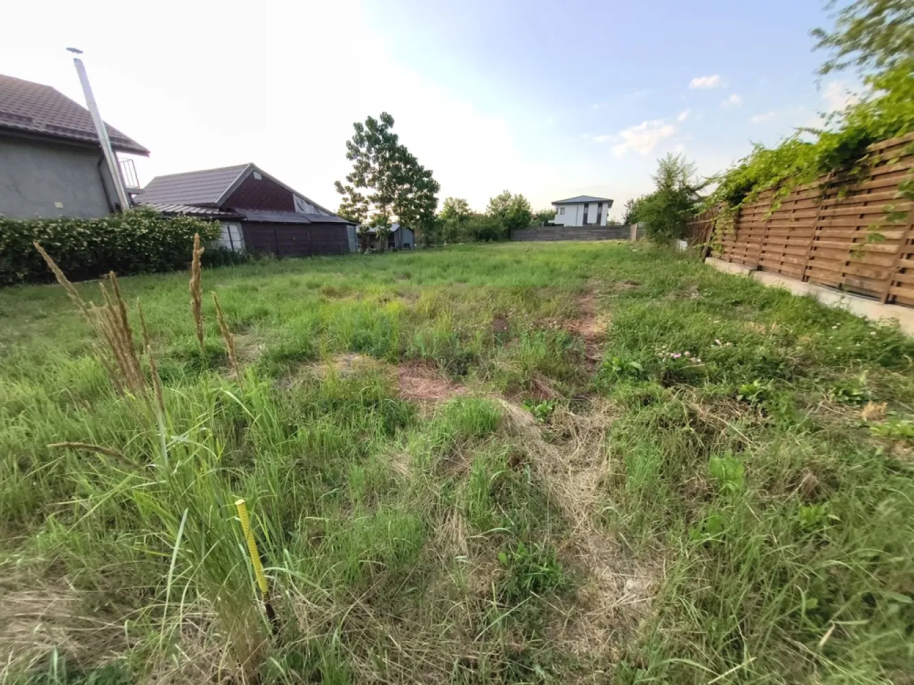 Teren cu acces facil la toate utilitățile lângă București - Vă propun spre cumpărare un teren foarte bun situat pe strada Pinului din localitatea 1 Decembrie, la 400ml de Supermarketul Lidl, cu acces facil la toate utilitățile (apă curentă, gaz, curent și canalizare) și la mijloace de transport în comun. Terenul este intravilan, este un teren amplasat între case, un teren cu un front stradal bun de 17,5 ml și cu o adâncime de 76ml. Această suprafață de teren de 1346 mp este optimă pentru 2-3 case individuale la curte sau pentru un proiect de case înșiruite. În vecinătatea terenului sunt case și vile noi, aici este deja formată o comunitate frumoasă, utilitățile sunt recent aduse și zona cunoaște deja o dezvoltare accelerată datorită facilităților, proximității față de oraș, de mijloacele de transport și accesului facil la centrele comerciale din zonă. Pentru mai multe detalii și programarea de vizionări nu ezitați să mă contactați. Daniel, Apulum94.