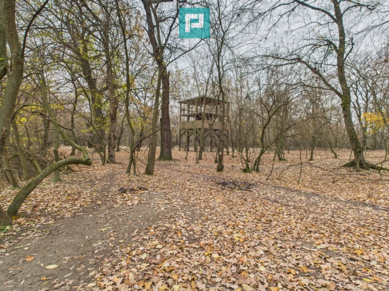 Teren pe malul Mureșului- oportunități multiple