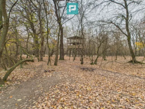 Teren pe malul Mureșului- oportunități multiple