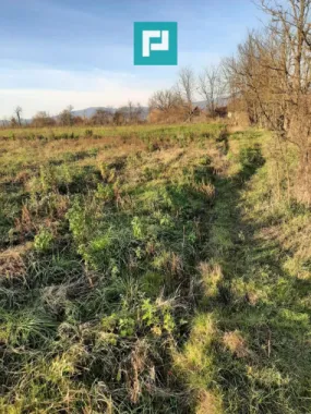 Teren intravilan în Ususău