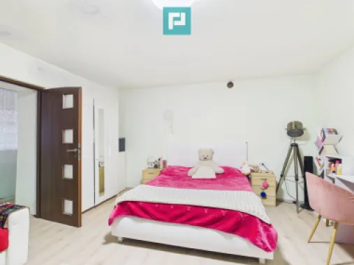 Casă complet renovată, teren 300mp, în Orțișoara