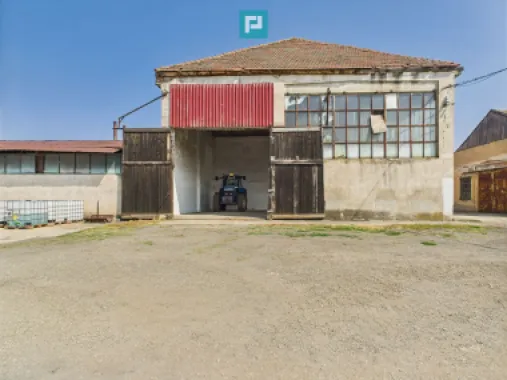 Complex industrial cu hale și teren în Orțișoara