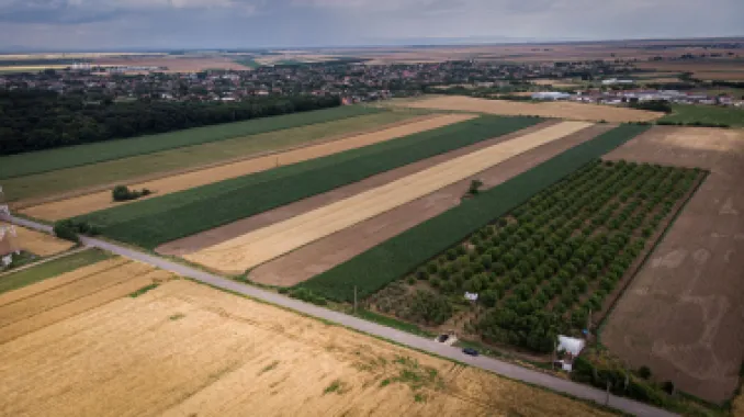 Livadă de nuci altoită și ecologică 2.5ha