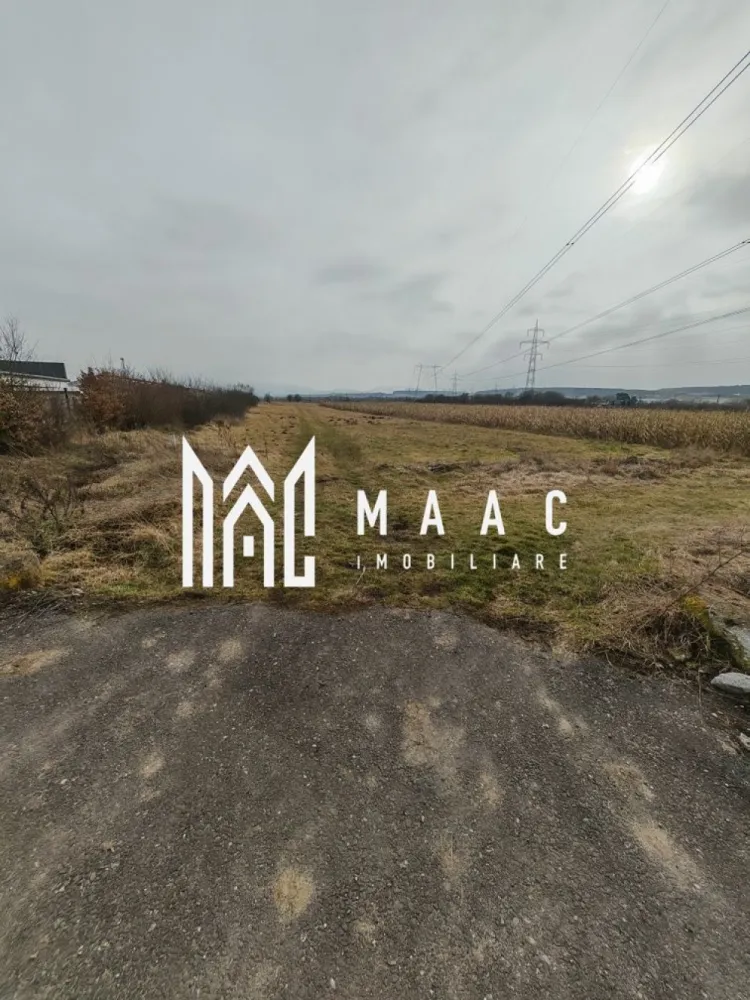 Teren 1.300mp | Extravilan | Mohu - MAAC Imobiliare vă propune spre vânzare un teren extravilan situat în Mohu, județul Sibiu, cu acces direct din drumul principal.

Terenul are o suprafață totală de 1.300 mp, cu o deschidere la stradă de 10 m și o lungime de aproximativ 130 m, oferind un front generos și multiple posibilități de utilizare.

Caracteristici:
Acces direct din drum principal
Utilități în apropiere (curent, gaz)
Acte în regulă 

Pentru mai multe detalii specificati ca ati vazut anuntul cu ID:CP2914422