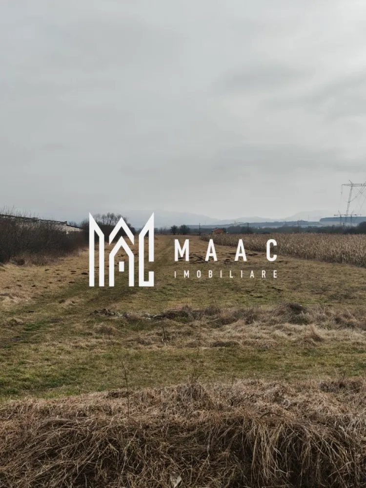 Teren 1.300mp | Extravilan | Mohu - MAAC Imobiliare vă propune spre vânzare un teren extravilan situat în Mohu, județul Sibiu, cu acces direct din drumul principal.

Terenul are o suprafață totală de 1.300 mp, cu o deschidere la stradă de 10 m și o lungime de aproximativ 130 m, oferind un front generos și multiple posibilități de utilizare.

Caracteristici:
Acces direct din drum principal
Utilități în apropiere (curent, gaz)
Acte în regulă 

Pentru mai multe detalii specificati ca ati vazut anuntul cu ID:CP2914422