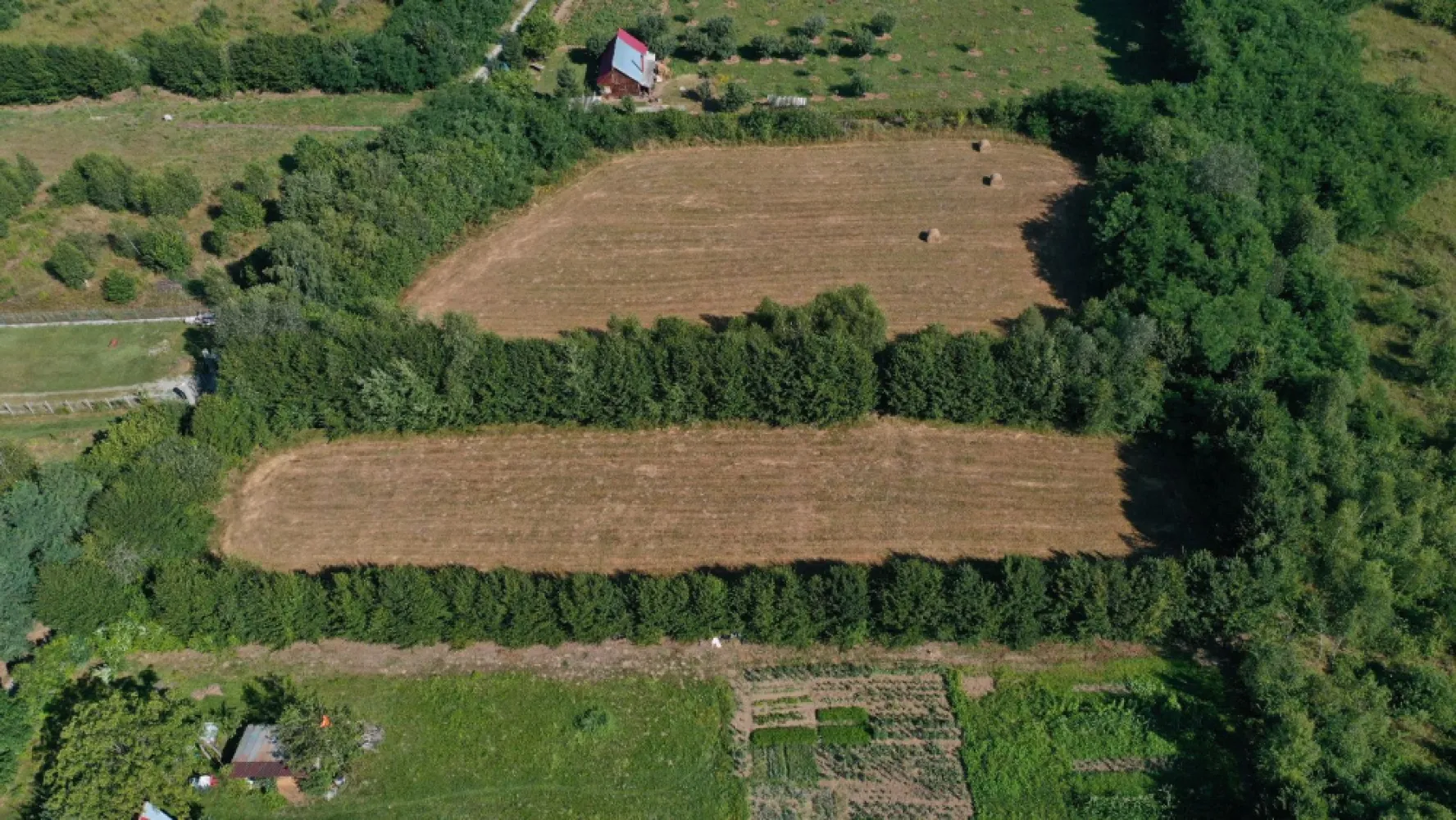 Teren de vânzare pe Valea Avrigului – locație superbă la poalele munților! - Descoperă acest teren intravilan de 2763 mp, ideal pentru o casă de vacanță, pensiune sau investiție turistică!&nbsp;Deschidere generoasă: 28,26 ml&nbsp;Curent: la poartă; gaz și apă: la aproximativ 70 m&nbsp;Zonă liniștită, înconjurată de natură, cu priveliști spectaculoase spre munți&nbsp;Acces facil și vecinătăți civilizate&nbsp;Valea Avrigului – una dintre cele mai frumoase zone de relaxare din apropierea Sibiului!&nbsp;Preț: 102.000 euro