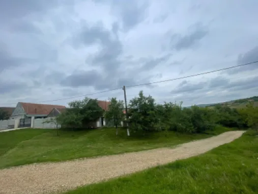 De vânzare | Casă tradițională pe deal + teren 2.470 mp | Sat Burzuc |