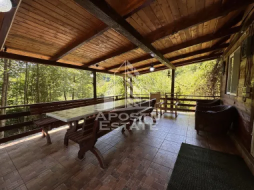 Casa din lemn, zona muntoasa, cu rau, la cheie, Ribita, Hunedoara