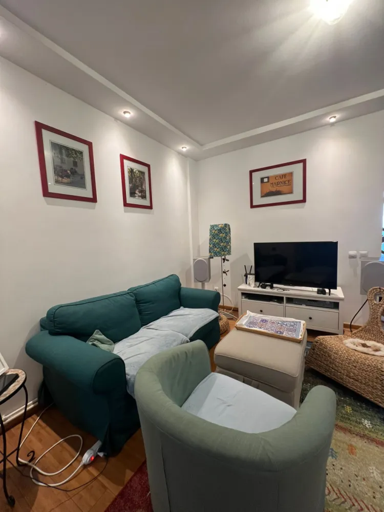 Apartament spațios la vilă, zona Parcul Sub Arini – Parter – Curte proprie