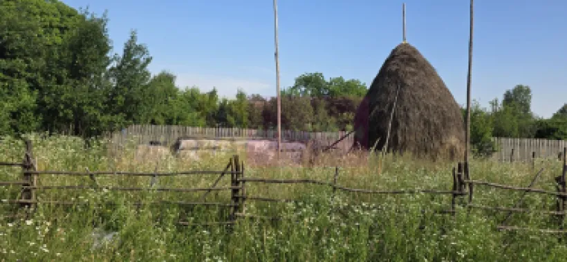 Teren 3026 de vanzare in Brebu