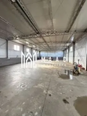 Hala Industrială | 300 MP | Calea Șurii Mici
