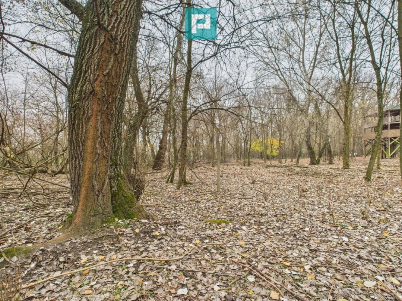 Teren pe malul Mureșului- oportunități multiple