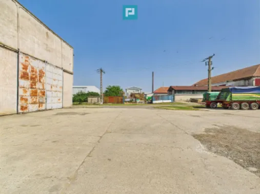 Complex industrial cu hale și teren în Orțișoara