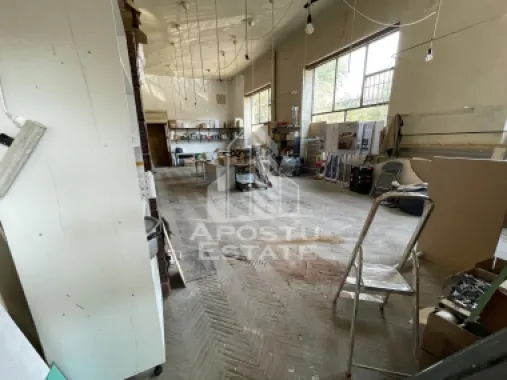 Spatiu comercial 250 mp, pe colt, vitrina generoasa, Sinaia, Timisoara