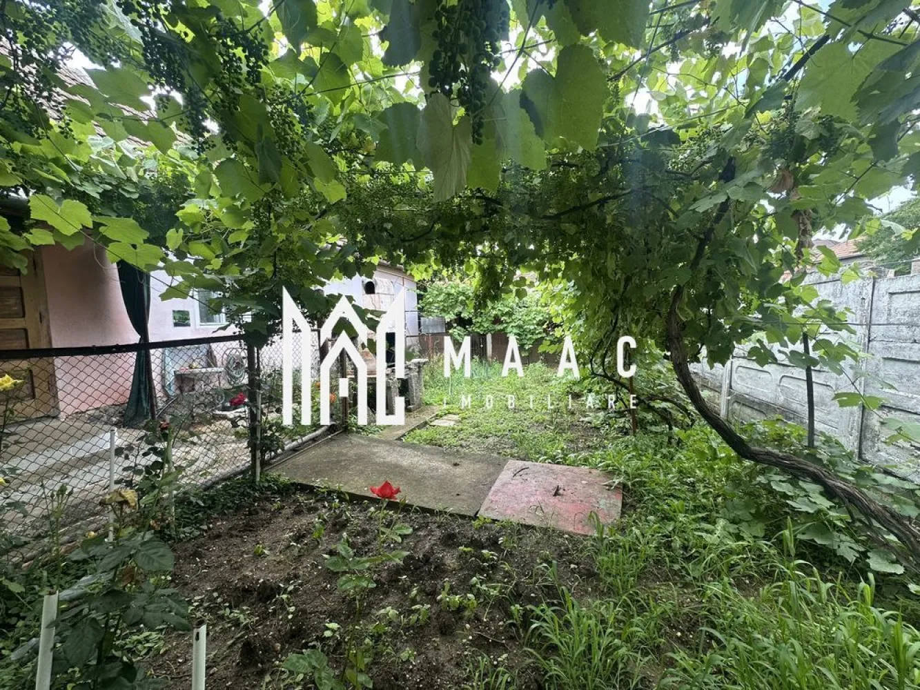 Casa 4 camere Sibiu | Trei Stejari, Sibiu | teren 394 mp - Casă individuală cu 4 camere, situată pe Strada Urlea din zona Trei Stejari, Sibiu, cu 158 mp utili, 222 mp construiți și teren de 394 mp.

Detalii proprietate:
• Casă individuală, finalizată, cu structură din cărămidă și acoperiș din țiglă
• Suprafață utilă: 158 mp
• Suprafață construită: 222 mp
• Teren: 394 mp, cu deschidere la stradă de 12 ml
• Compartimentare în două corpuri de clădire
• Primul corp, construit în anii '70: 2 camere, 2 holuri, 2 cămări, bucătărie, baie și pivniță
• Al doilea corp, edificat în 1986: 2 camere, bucătărie, baie, cămară și pivniță
• În total: 2 băi și 2 bucătării
• Stare interioară: necesită renovare

Proprietatea este amplasată într-o zonă apreciată din Sibiu, cu acces rapid către centrul orașului, Promenada Mall, Gara Sibiu și principalele puncte de interes. Poziționarea oferă acces facil către școli, magazine și mijloace de transport.

Pentru detalii suplimentare și programarea unei vizionări, contactați echipa MAAC Imobiliare și menționați Cod anunț CP3192045.