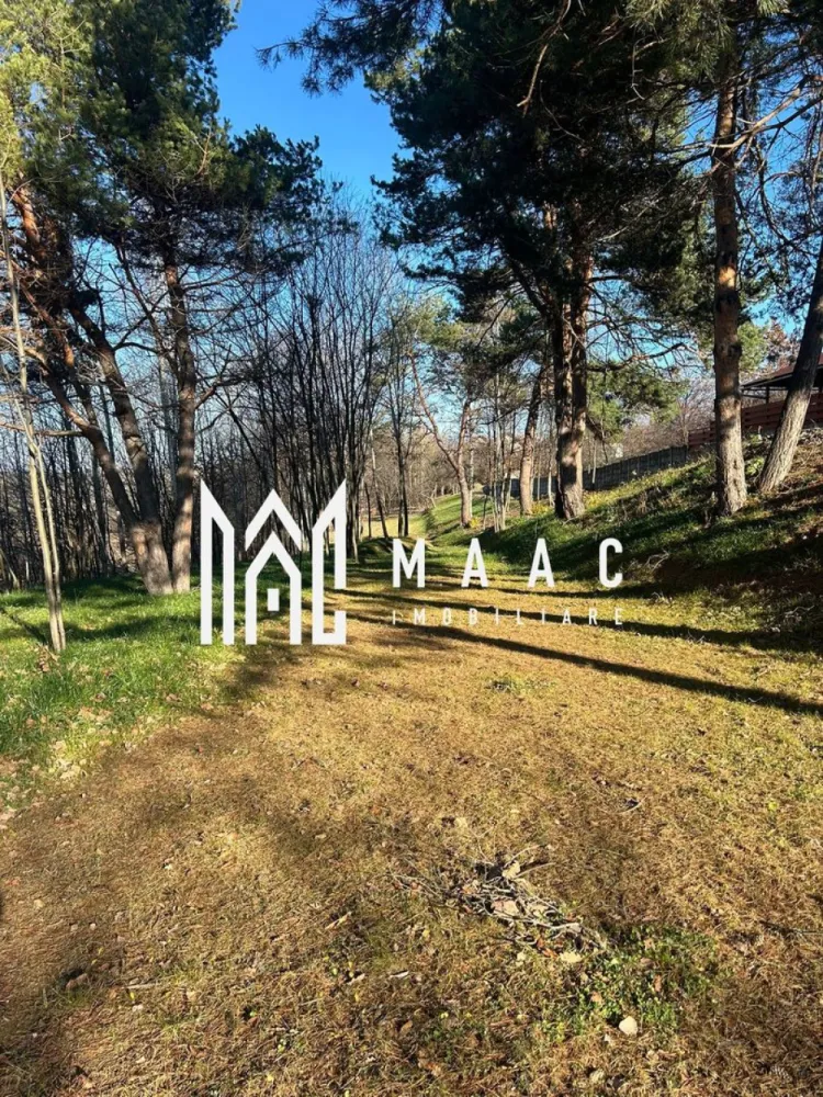 Teren Intravilan I 3.660 MPU I Cisnadioara - Vând teren deosebit în Cisnădioara, lângă Apfelhaus – 3.660 mp, deschidere la 2 străzi.

Foarte usor de racordat la toate utilitatile, curentul langa teren, apa la 50 m de teren si restul utilitatilor la 150 m maxim langa Apfelhaus.

Oportunitate rară! Se vinde un teren spectaculos, în suprafață de 3.660 mp, situat în localitatea Cisnădioara, într-o zonă exclusivistă, chiar lângă Apfelhaus.

Proprietatea beneficiază de deschidere la două străzi, oferind acces facil și multiple posibilități de compartimentare sau dezvoltare. O parte a terenului este împădurită, creând un cadru natural de poveste, cu intimitate, liniște și peisaje deosebite.

Caracteristici urbanistice:

Certificat de urbanism pentru casă unifamilială si colective mici.

Regim de înălțime: S + P + E/M

CUT 0,9

POT 25%

Terenul este ideal pentru construirea unei locuințe premium, a unei case de vacanță sau pentru investiție într-o zonă în continuă dezvoltare și extrem de căutată.

Pentru mai multe detalii si programarea unei vizionari va rugam sa specificati ID: CP2853457