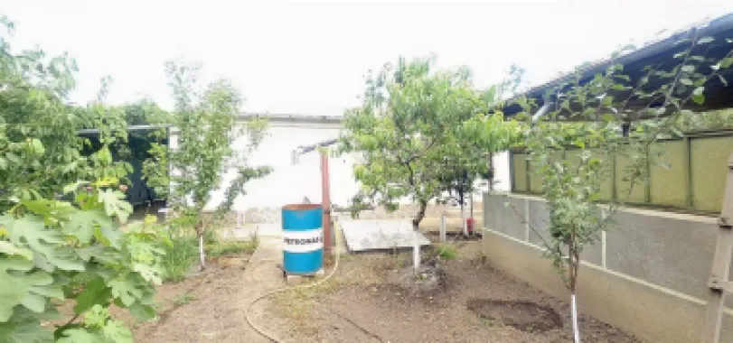 Casa la sol cu teren 1055 mp si livada - Vanatori, Galati