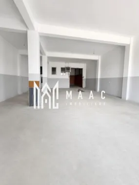 Hală industrială | 500 mp | Curte 600 mp | Zona Terezian
