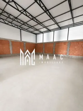 Hală industrială | 500 mp | Curte 600 mp | Zona Terezian