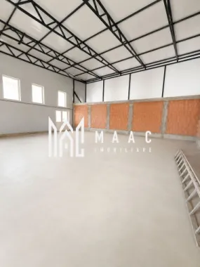 Hală industrială | 500 mp | Curte 600 mp | Zona Terezian