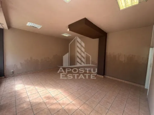 Logo Apostu Estate logo
