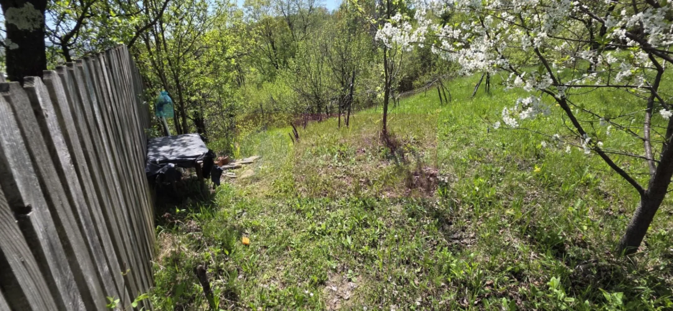 Teren cu Casuta de lemn in Sotrile (langă Valea Doftanei)