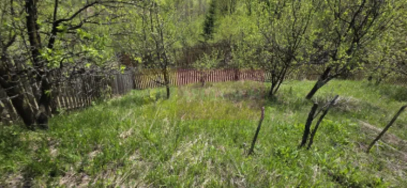 Teren cu Casuta de lemn in Sotrile (langă Valea Doftanei)