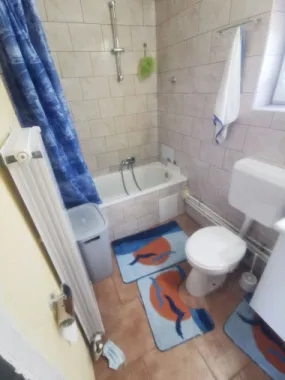 vand casa Satu Mare str spicului 3 cam placa de beton