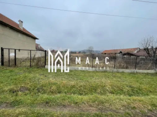 Casă I Teren de 4.500 mp I Anexe I Seica Mare
