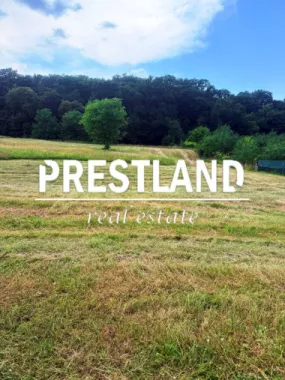 Logo Prestland Imobiliare logo