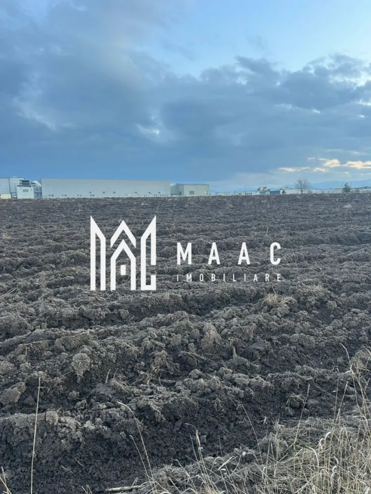 Teren Intravilan | 5.000 mp | Zona Industrială Vest | Sibiu - MAAC Imobiliare vă propune spre vânzare un teren intravilan cu suprafața de 5.000 mp, situat în Zona Industrială Vest – Sibiu, în proximitatea companiei Marquardt.

 Localizare excelentă
La doar 100 m de strada principală
Amplasat într-o zonă industrială dezvoltată
Acces facil pentru transport marfă, TIR și utilaje
În apropierea unor companii importante din zonă

 Caracteristici teren:
Suprafață: 5.000 mp
Deschidere la stradă: 34 ml
Acces direct din drum
Teren intravilan
 
 Utilități:
Utilitățile se află în imediata apropiere a terenului

 Potrivit pentru:
Hală producție / depozitare
Parc logistic
Sediu firmă
Investiție pe termen lung

Datorită poziționării strategice în zona industrială aflată în continuă dezvoltare din Vestul Sibiului, proprietatea reprezintă o oportunitate excelentă pentru investiitori și dezvoltatori.

 Pentru mai multe detalii sau pentru a programa o vizionare, vă rugăm să ne contactați specificând ID