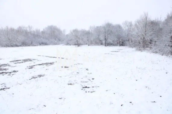 Teren intravilan I Cisnadie I Zona in dezvoltare