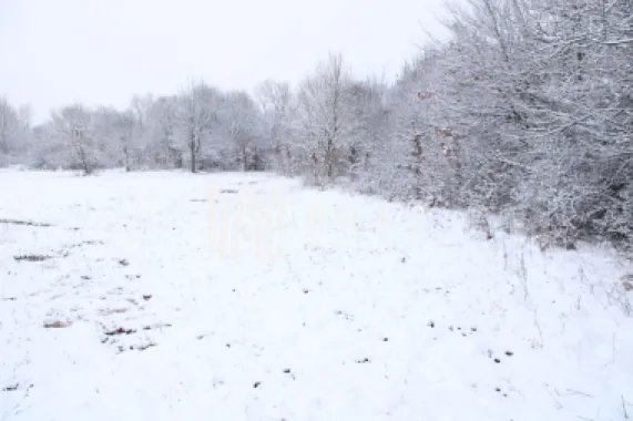 Teren intravilan I Cisnadie I Zona in dezvoltare