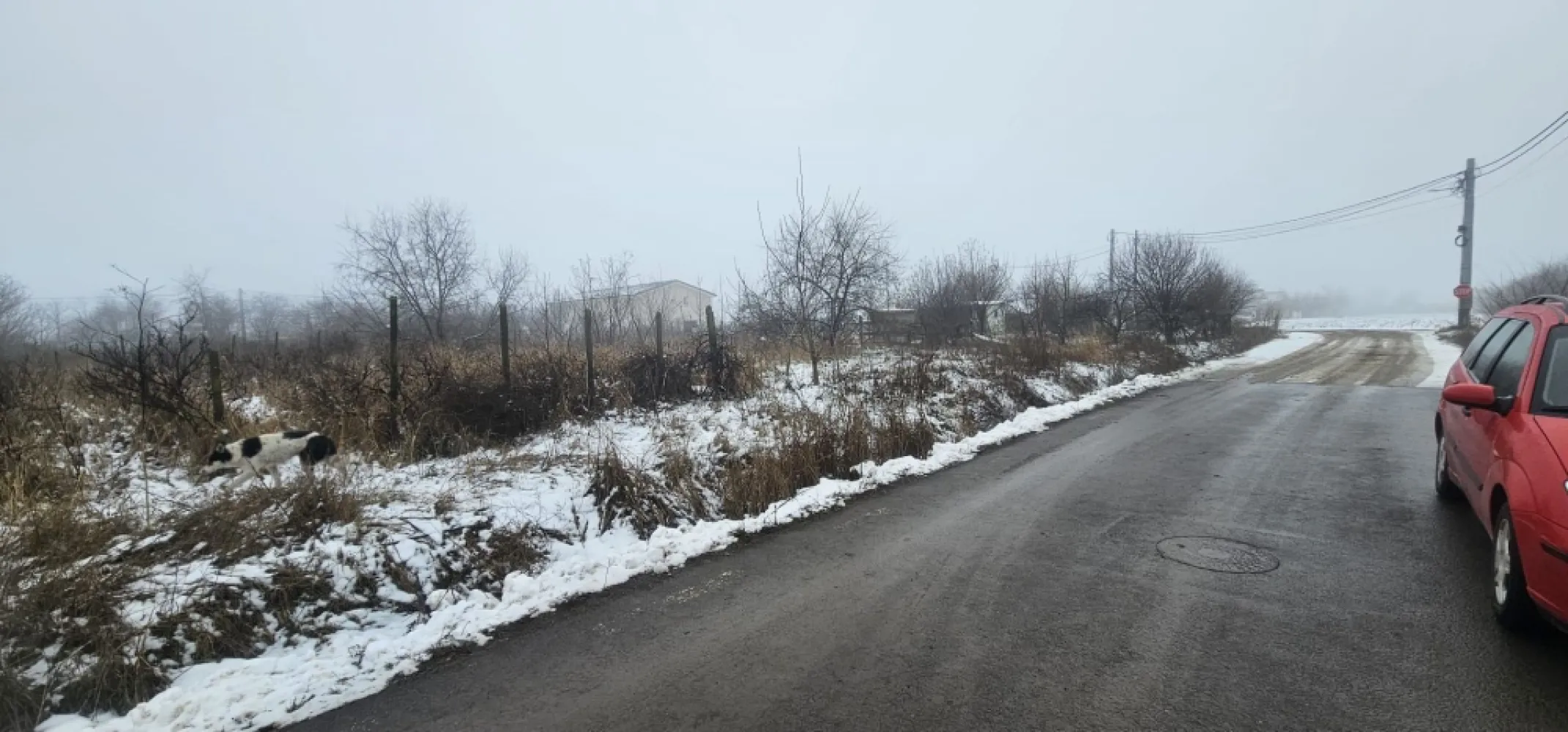 Exclusivitate MAG Invest – Teren 2300 mp Vanatori, ideal investitie - Va propunem spre vanzare un teren intravilan situat in localitatea Vanatori, judetul Galati, cu o suprafata totala de 2300 mp, compus din doua loturi alaturate, ideal pentru investitie sau parcelare in vederea construirii de locuinte individuale.
Terenul beneficiaza de deschidere generoasa de 48 ml la drum asfaltat, oferind acces facil si multiple posibilitati de dezvoltare. Utilitatile (gaz, canalizare si electricitate) sunt disponibile la limita proprietatii, un avantaj important pentru viitorii investitori sau proprietari.

Datorita amplasarii si configuratiei, proprietatea reprezinta o oportunitate excelenta pentru investitie, fiind pretabila pentru parcelare in loturi de casa.
Pret: 38 euro/mp, usor negociabil
Proprietatea este oferita in exclusivitate la agentia imobiliara MAG Invest.
Actele sunt pregatite pentru vanzare.

Se percepe comision de intermediere: 2% + TVA din valoarea de vanzare a terenului.
Pentru informatii suplimentare si vizionari:
Marian – MAG Invest
Telefon: 0740 949 871