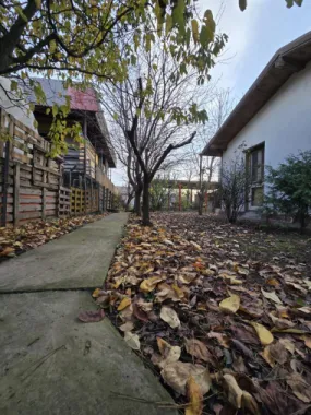Exclusivitate! Proprietate in Sendreni, jud. Galati - 59.900 EUR