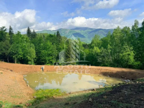 Oportunitate! Domeniu montan, cu lac propriu, oras Lupeni, Hunedoara