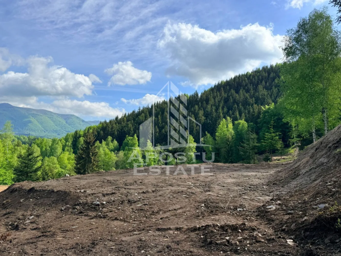 Oportunitate! Domeniu montan, cu lac propriu, oras Lupeni, Hunedoara