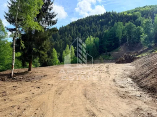 Oportunitate! Domeniu montan, cu lac propriu, oras Lupeni, Hunedoara