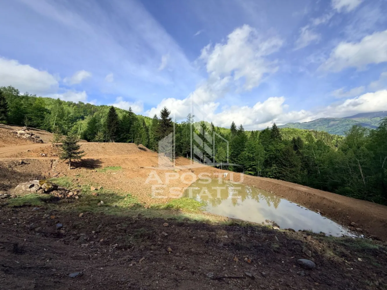 Oportunitate! Domeniu montan, cu lac propriu, oras Lupeni, Hunedoara