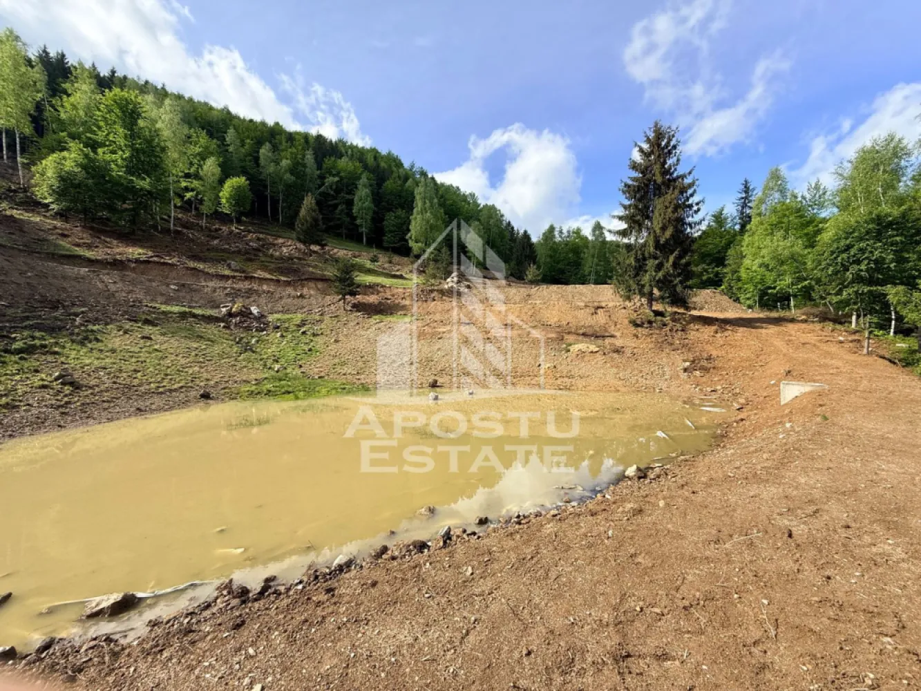 Oportunitate! Domeniu montan, cu lac propriu, oras Lupeni, Hunedoara