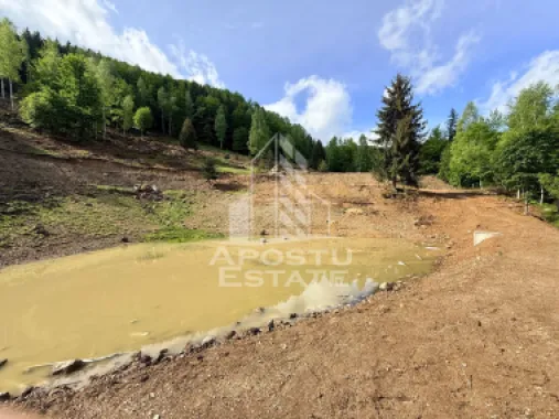 Oportunitate! Domeniu montan, cu lac propriu, oras Lupeni, Hunedoara