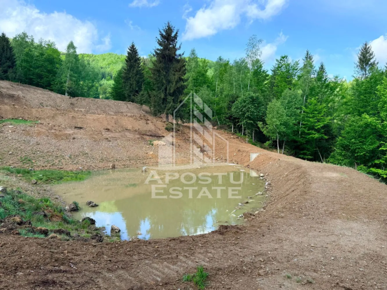 Oportunitate! Domeniu montan, cu lac propriu, oras Lupeni, Hunedoara
