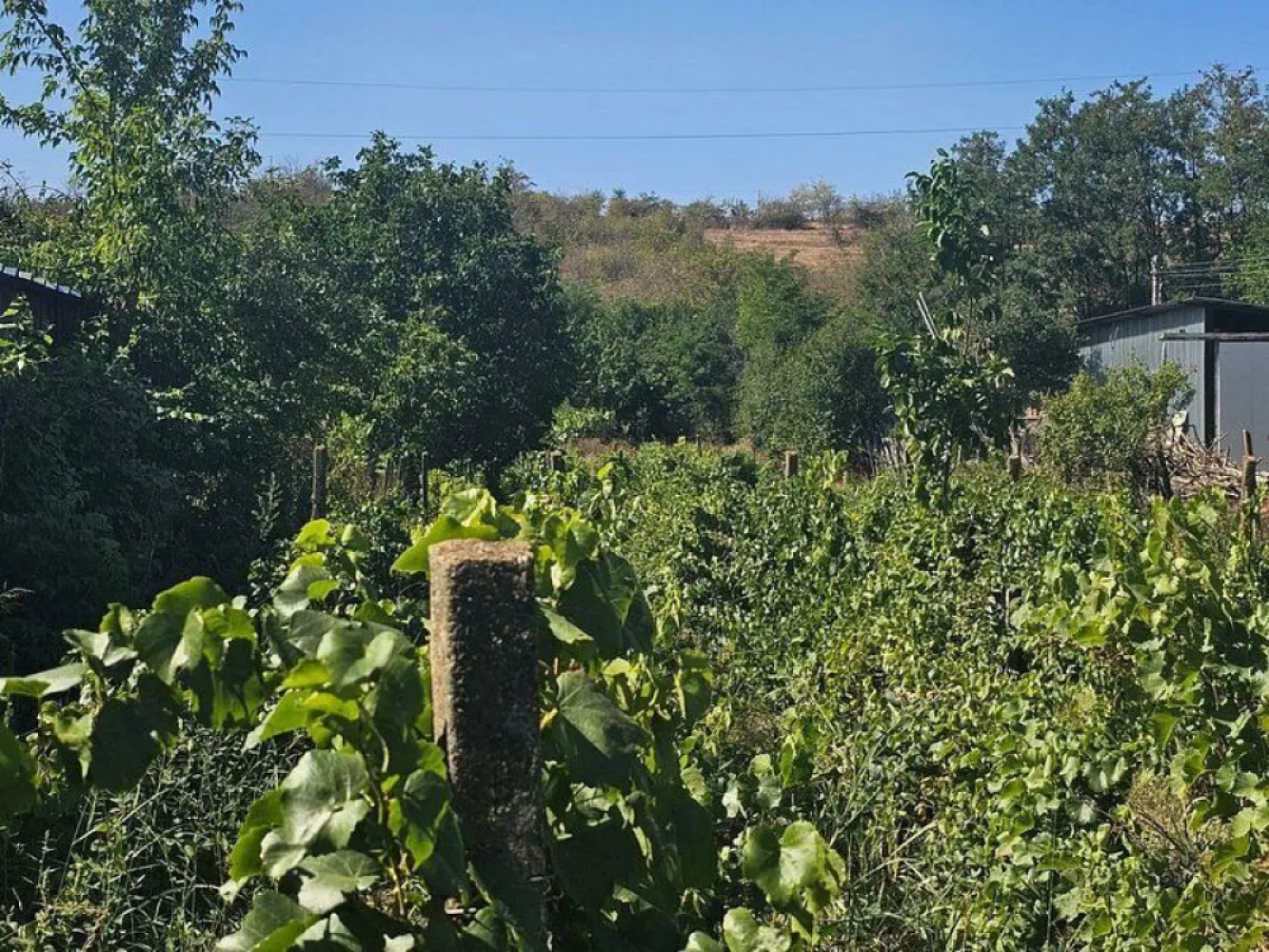 Teren 1800 mp + casa batraneasca - Fartanesti, jud. Galati - Visezi la un colț de natură, departe de agitația orașului? 
Această proprietate situată în Fârțănești, la doar 30 km de Galați, îți oferă ocazia perfectă de a te bucura de liniște și aer curat, într-un cadru natural.

Detalii Proprietate:
- Suprafață Teren: 1800 mp de teren intravilan, ideal pentru amenajări diverse 
- Vegetatie: Pe teren se găsesc pomi fructiferi și viță de vie ce îți va încânta simțurile cu arome deosebite.
- Construcție: O căsuță mică din paiantă, cu centura de beton și acoperiș din tablă, perfectă pentru o escapadă de weekend sau pentru a-ți crea propriul refugiu în mijlocul naturii.
- Acces: Proprietatea beneficiază de acces facil printr-un drum asfaltat, asigurând astfel legătura cu principalele artere de transport.
- Utilități: Toate utilitățile necesare sunt disponibile pe teren, oferind confortul dorit în activitățile zilnice.

Preț: 15.000 EUR – o oportunitate excelentă de investiție în zonă!
Aceasta este o oportunitate rară de a deveni proprietar al unei oaze de liniște, fie că vrei să te bucuri de un stil de viață rural sau să dezvolți un proiect personal. 
Nu rata ocazia de a viziona această proprietate! Contactează-ne pentru mai multe detalii și programări la vizionare!