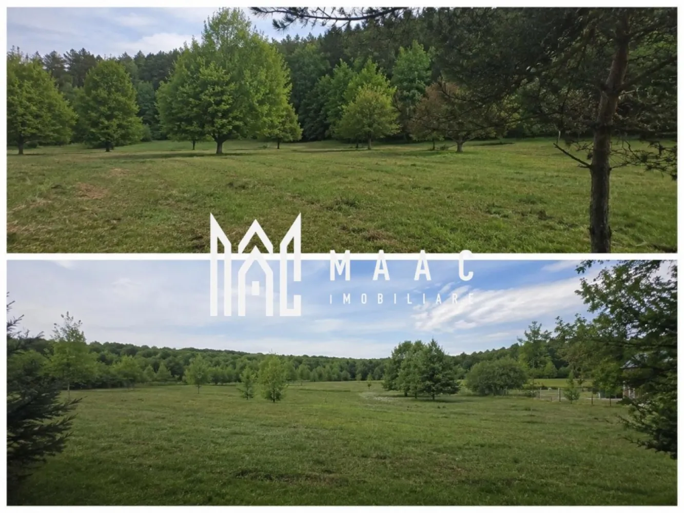 Teren extravilan 2000 mp | Rășinari | livadă, lângă Cisnădioara - Teren extravilan de 2000 mp în Rășinari, în vecinătatea Cisnădioarei, potrivit pentru cei care caută un cadru liniștit, aproape de Sibiu, cu aer curat și peisaj deosebit.

Detalii proprietate:
• Suprafață teren: 2000 mp
• Tip teren: pădure / livadă
• Clasificare: extravilan
• Localizare: Rășinari, în vecinătatea Cisnădioarei
• Cadru natural cu peisaj plăcut și atmosferă retrasă
• Actele sunt depuse în sistemul eTerra și în curs de procesare

Zona oferă liniște, aer curat și acces facil către Sibiu. Proprietatea este amplasată într-un areal cu potențial turistic ridicat, într-o zonă aflată în continuă dezvoltare.

Pentru detalii suplimentare și programarea unei vizionări, contactați echipa MAAC Imobiliare și menționați Cod anunț CP3198207.