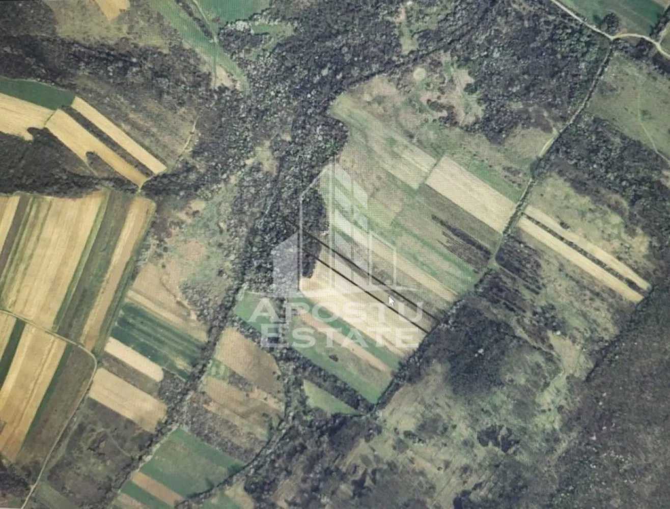 Teren mixt de 10.000 mp, ideal pentru investitie, Barsa - Apostu Estate va ofera spre vanzare un Teren agricol la Barsa, langa Cuied, judetul Arad

Suprafata: 10.224 mp (aprox. 1,02 ha)
Dimensiuni: 30 m latime x 341 m lungime (conform CF)
Categoria: teren extravilan, in camp

 Caracteristici:

teren pretabil pentru agricultura bio (nu a mai fost lucrat de peste 10 ani)

sol fertil, ideal pentru culturi ecologice

potrivit pentru proiecte pe fonduri europene

 Posibile utilizari:

cultivarea de legume, cereale, plante medicinale sau tehnice

infiintare livada, vie sau plantatie de arbusti fructiferi

cresterea animalelor prin amenajarea de pasune sau fanete

dezvoltarea unor proiecte agro-turistice sau de micro-ferma

 Localizare: Barsa, langa Cuied, judetul Arad – la doar 50 km de municipiul Arad, zona linistita, accesibilitate buna
 Ofetra ID CP2708534
