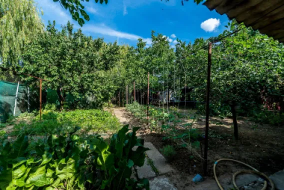 Casa 3 camere, bucatarie si baie, in zona centrala din Chisineu-Cris