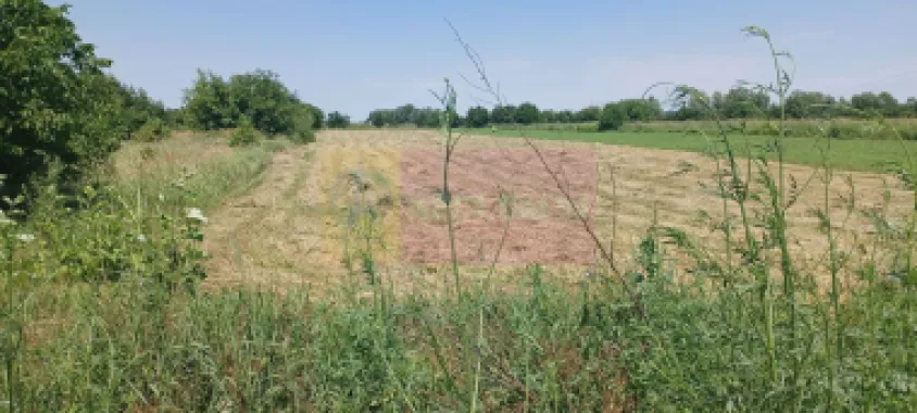 Săbăreni, teren intravilan 665 mp, aproape de DJ 602